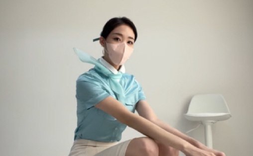 대한항공 승무원 룩북' 이블린 팬들 기겁한 근황 (+얼굴, 패트리온) : 네이버 포스트