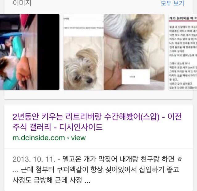 구글에 강아지를 검색하면/한국남자/수간 : 네이버 블로그