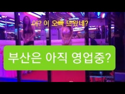 영업중인 사창가? 부산 집창촌 완월동에 다시가봤다 Brothels - Youtube