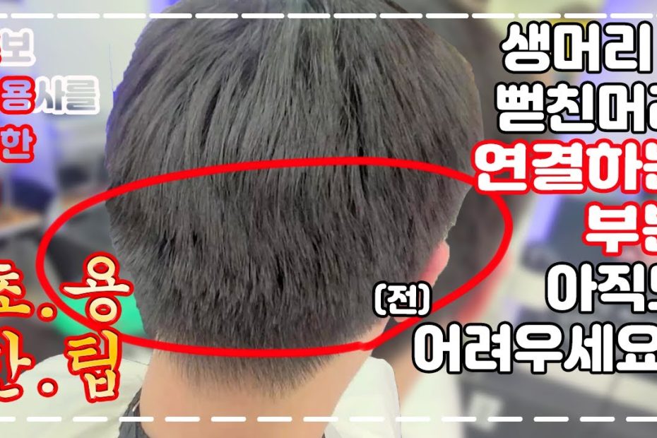 초보 미용사를 위한 팁- 초용한팁] 뒷부분 머리 연결하는 게 어려워요 / How To Cut Men'S Hair - Korean  Style - Youtube