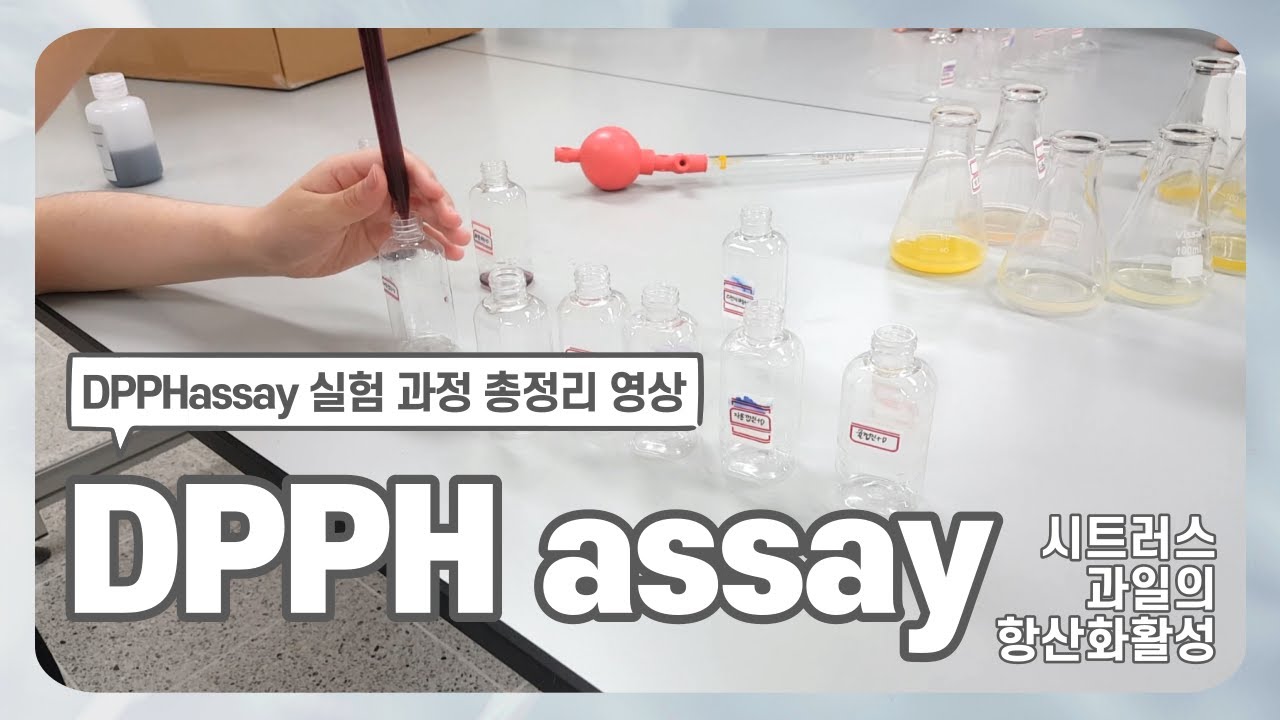 Dpph Assay를 이용한 시트러스 과일의 항산화활성 검색 | 고등학교 과학 실험 추천 | 화학 실험 추천 | 생명과학 실험 추천 |  오렌지 항산화 실험 | 레몬 항산화 실험 - Youtube