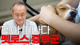 10년 넘게 키우던 강아지가 떠났다. 1500만 반려 동물 시대, 펫로스 증후군 / 최재천의 아마존, 전지적 관찰자 시점 -  Youtube