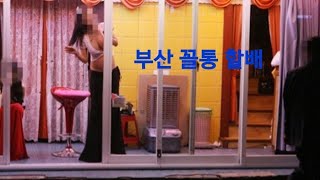 부산 미남 ㆍ 사창가 탐방 - Youtube