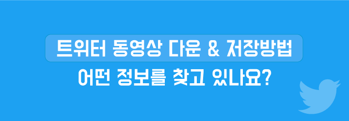 트위터 동영상 다운 & 저장하는 방법 (2023년) - 리틀자이언트