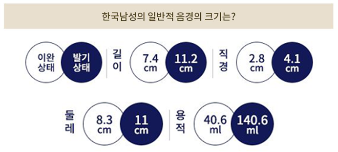 남자평균굵기 나는 어디에 속할까? : 네이버 포스트