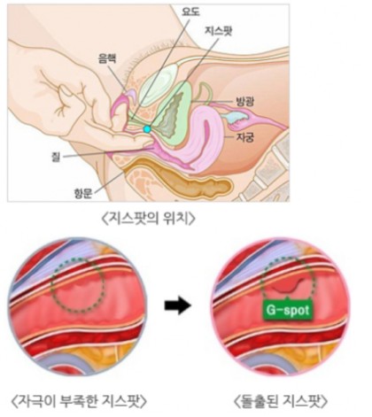 여자의 자위 편견과 오해 : 네이버 블로그