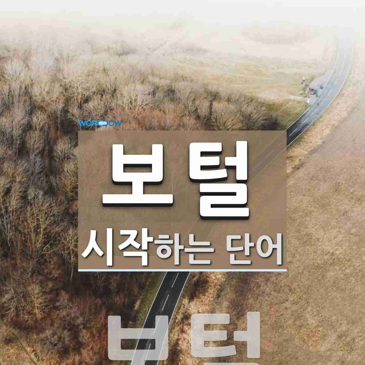 보털로 시작하는 두 글자 단어는? 1개