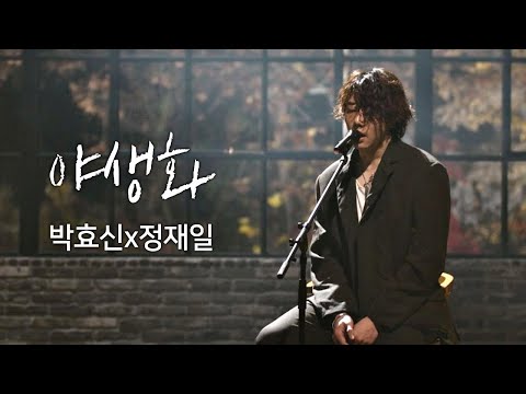 [풀버전] 박효신(Park hyo shin)x정재일(Jung jae il)， 한층 깊어진 감성 ′야생화′♪ 너의 노래는(Your Song) 1회