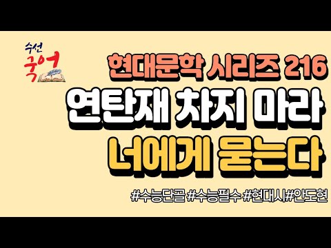 [수선국어 현대문학 시리즈 216] 현대시 너에게 묻는다 한번에 정리하기 (안도현)