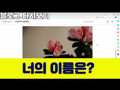 블로그 다시보기 : 너의 이름은?