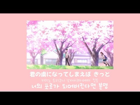 Summer time [サマータイム] cinnamons✖️evening cinema 너의 췌장을 먹고싶어 (가사/발음/번역)