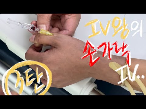 IV왕의 손가락 IV