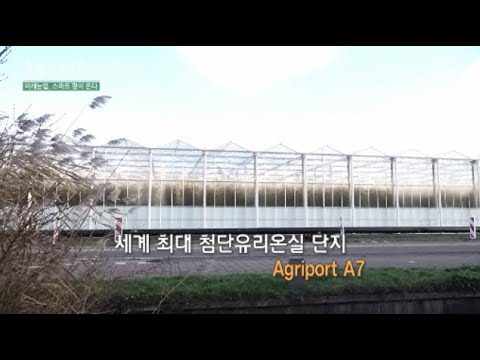 미래농업 스마트팜 [애그리포트 A7첨단 유리온실단지]