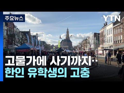 고물가·주택난에 사기까지...네덜란드 한인 유학생 고충 / YTN
