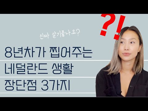 암스테르담 8년차가 말한다