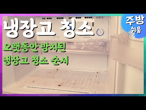 주부들이 제일 하기 싫어하는 청소 1위! 냉장고 청소