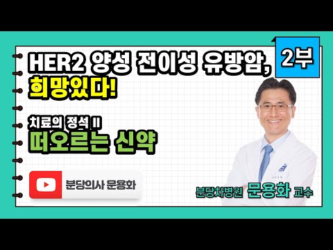 허투양성(HER2 양성) 전이성 유방암, 희망있다. 치료의 정석 II: 떠오르는 신약 2부(끝)