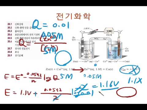 20 8네른스트 식