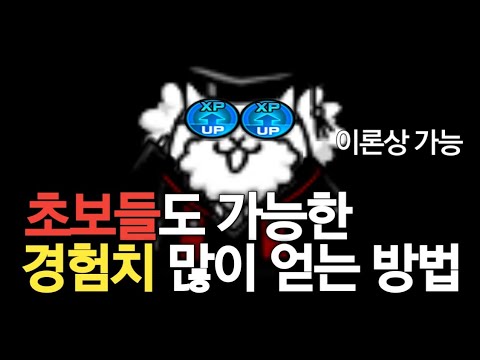 쉽게 경험치 많이 파밍 하는법 [냥코대전쟁]