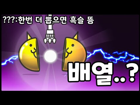 배열, 보는게 옳은것인가?