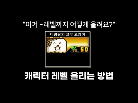 레벨 상한 해방 팁 [냥코 대전쟁]