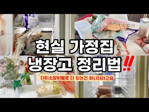 미니멀라이프|감성따위 없는 현실냉장고 정리법|다이소장비빨🙅‍♀️|그와중에 마켓컬리냉동식품 추천템소개