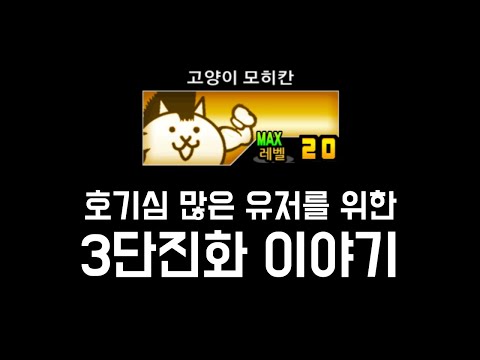 3단진화에 대해 [냥코 대전쟁]