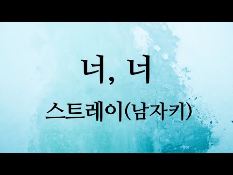 너, 너 - 스트레이(The Stray) (남자키E)