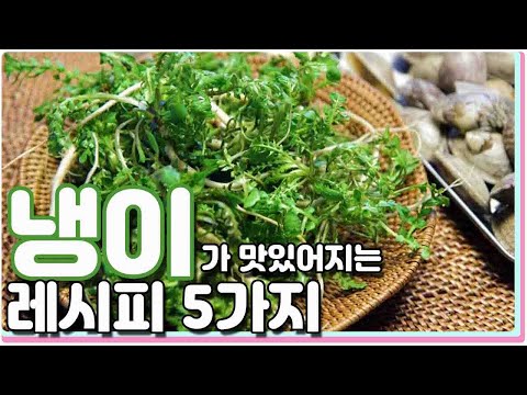 봄을 담아온 냉이  요리 5가지 레시피 / 5 kinds shepherd's purse cooking recipes