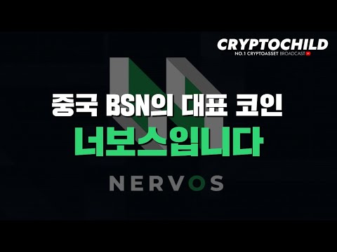 [코인분석]중국 BSN의 대표 코인, 너보스(Nervos Network)를 소개합니다