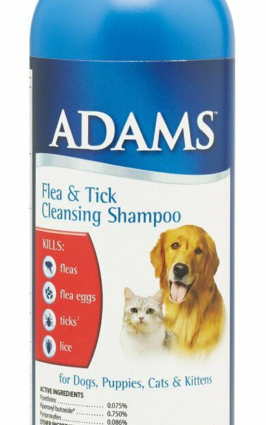 Adams Flea & Tick Cleansing Shampoo For Dogs - Shop Flea & Tick Treatments  At H-E-B