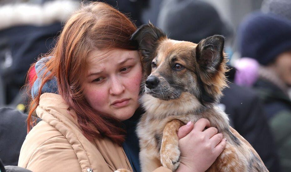 How To Help The Animals In Ukraine - Ontario Spca And Humane Society