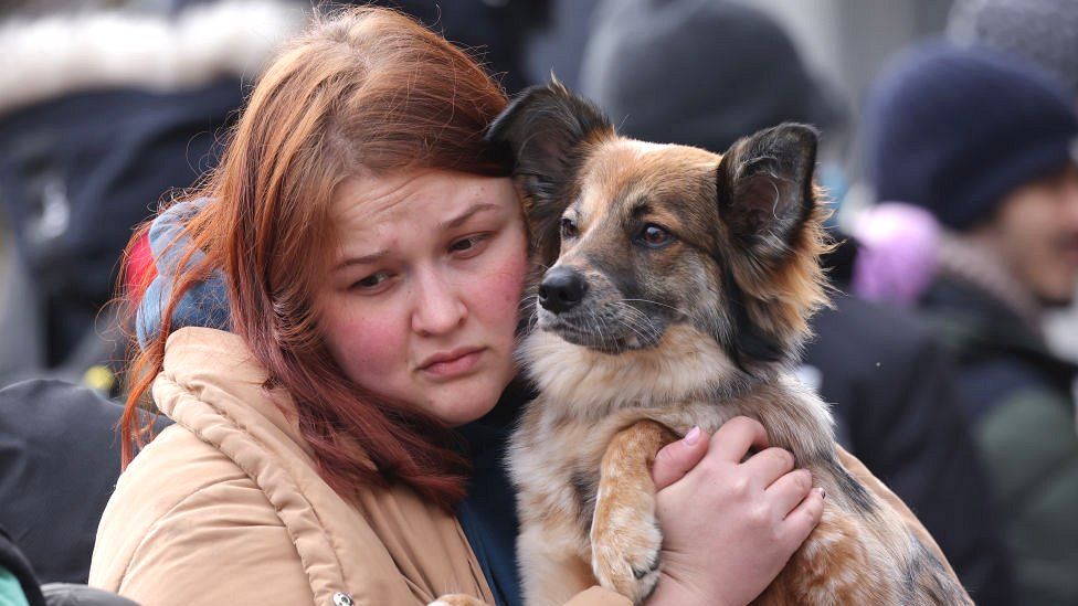 How To Help The Animals In Ukraine - Ontario Spca And Humane Society