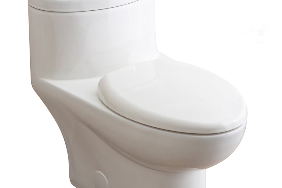 Tofino One-Piece Dual Flush 1.6 Gpf/6.0 Lpf And 1.1 Gpf/4.1 Lpf Standard  Height Elongated Complete Toilet With Seat