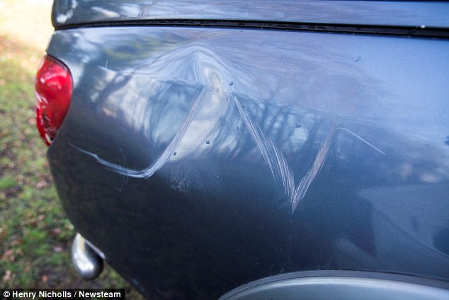 Family'S Terror After Rhino Smashes Into Their Car During Trip To West  Midlands Safari Park | Daily Mail Online