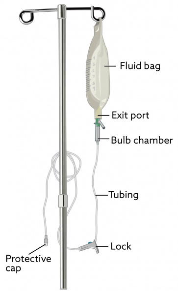 Subcutaneous Fluid Administration In Cat And Dogs