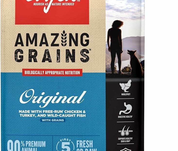 Amazon.Com : Orijen Amazing Grains Original Dry Dog Food, High Protein Dog  Food, Fresh Or Raw Ingredients 22.5 Pound (Pack Of 1) : Pet Supplies