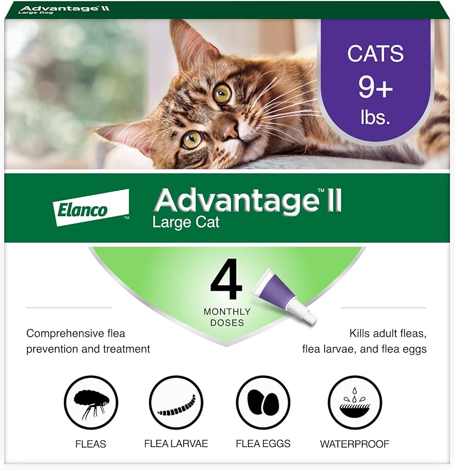 Amazon.Com : Advantage Ii Large Cat Vet-Recommended Flea Treatment &  Prevention | Cats Over 9 Lbs. | 4-Month Supply : Pet Flea Drops : Pet  Supplies