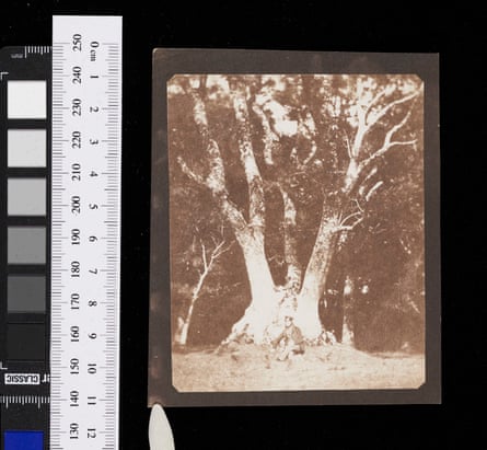 Invention Of The Negative Makes Fox Talbot Father Of Modern Photography |  Photography | The Guardian