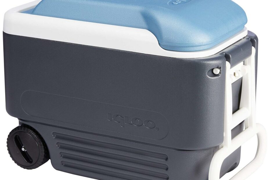 Amazon.Com : Igloo Quart Maxcold Cooler, Blue/Navy, 40 Qt : Sports &  Outdoors