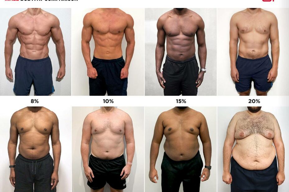 Male Body Fat Percentage Comparison [Visual Guide]