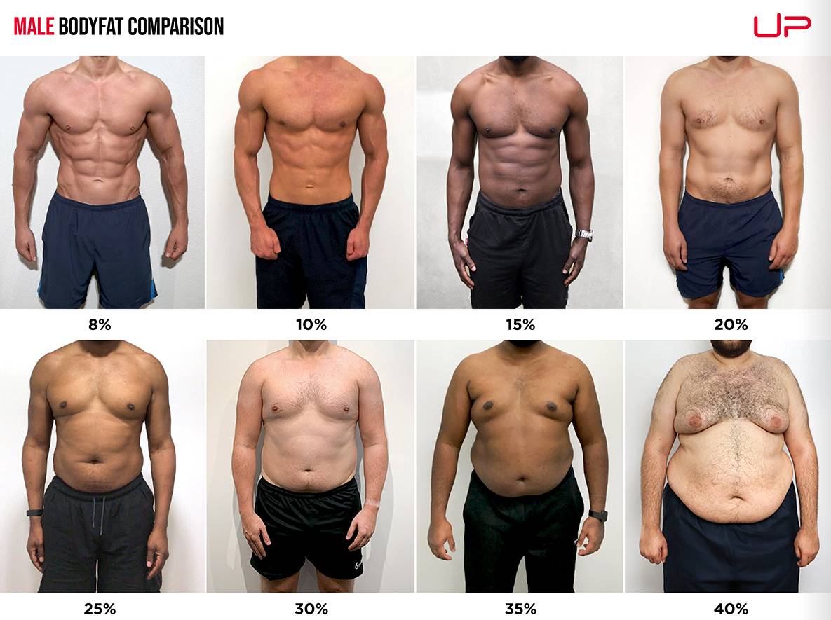 Male Body Fat Percentage Comparison [Visual Guide]