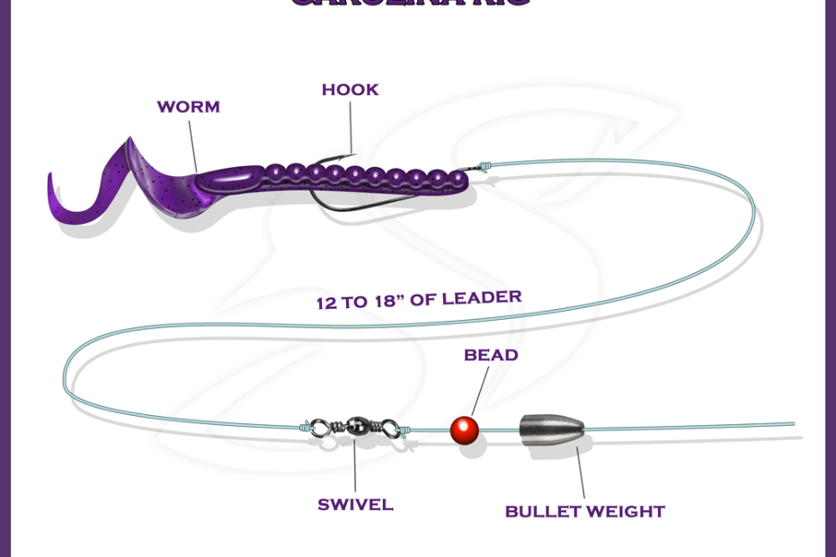 Carolina Rig | When To Use It And Why