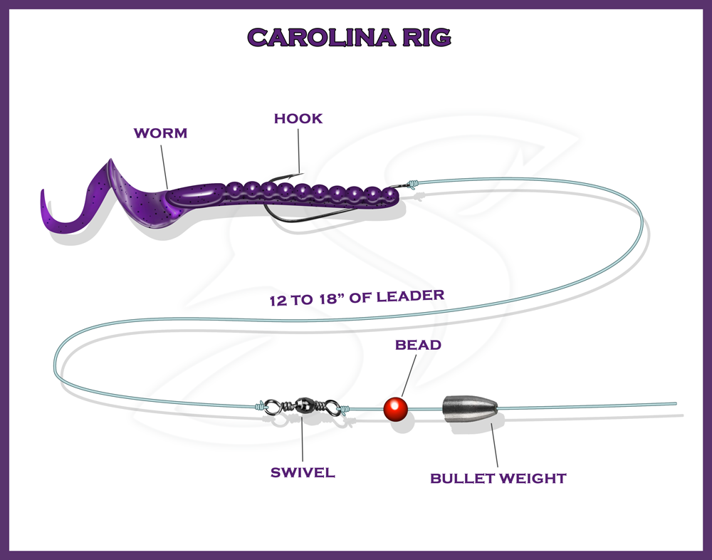 Carolina Rig | When To Use It And Why