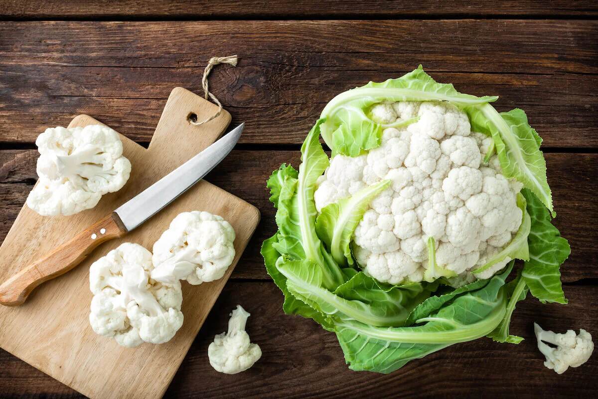 Can Dogs Eat Cauliflower? Nutritious Benefits For Your Bestie – The Native  Pet