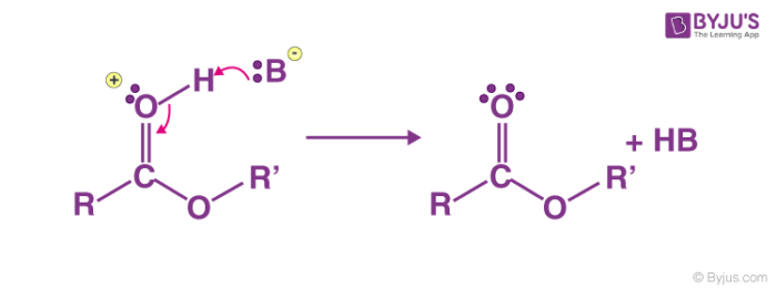 Fischer Esterification Mechanism - Detailed Explanation With Examples