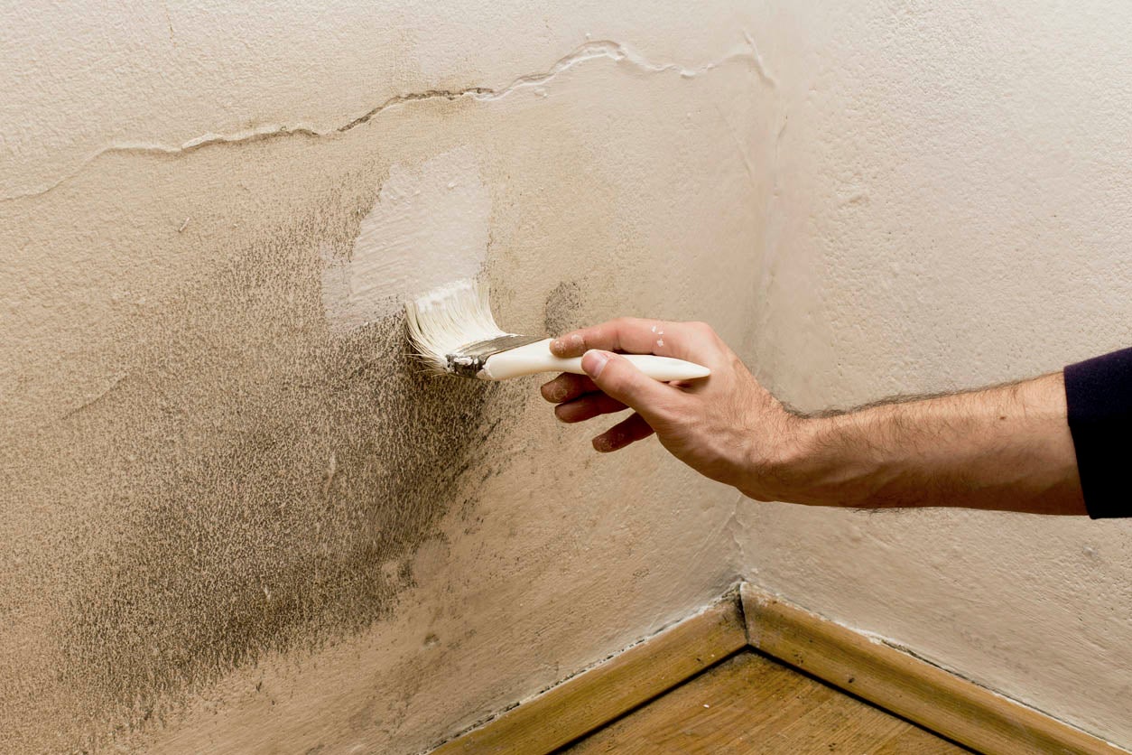 Solved! Can You Paint Over Mold? - Bob Vila