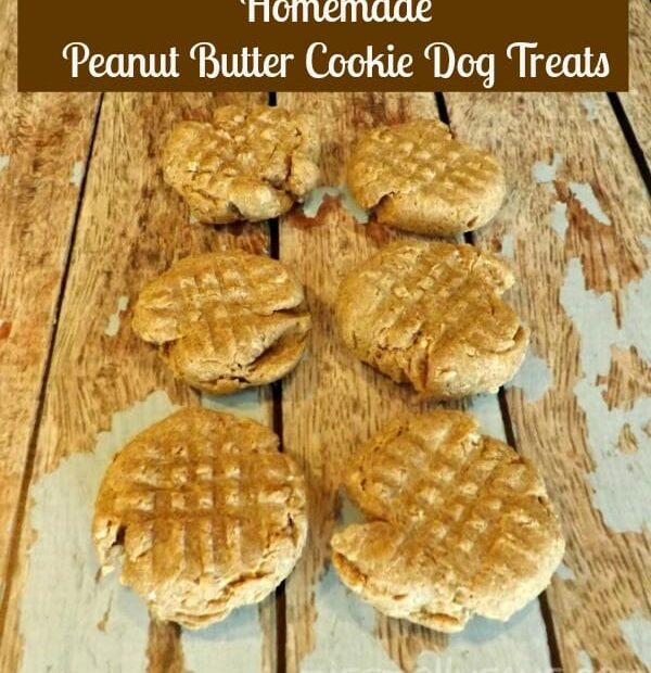 Homemade Peanut Butter Cookie Dog Treat Recipe (3 Ingredients)