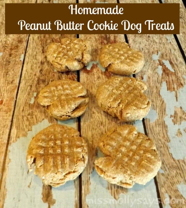 Homemade Peanut Butter Cookie Dog Treat Recipe (3 Ingredients)