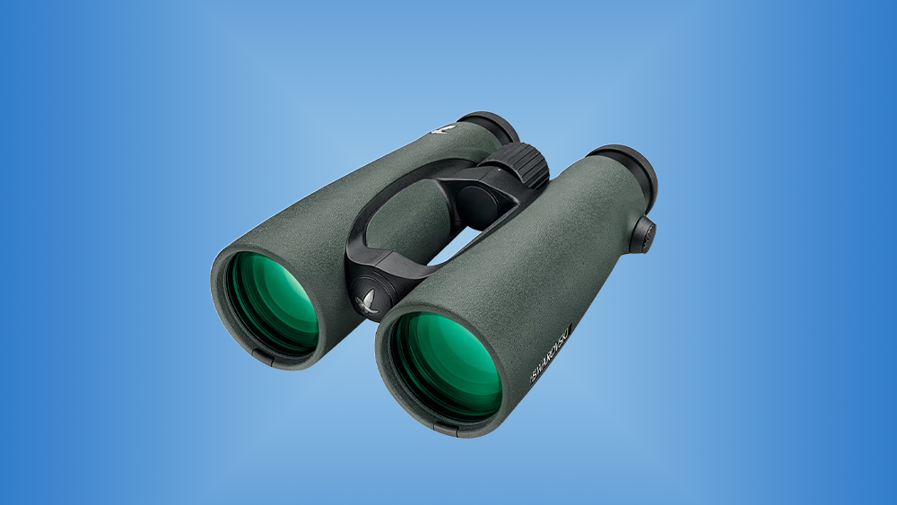 The Best Binoculars For Hunting: Expert Buying Guide – Robb Report